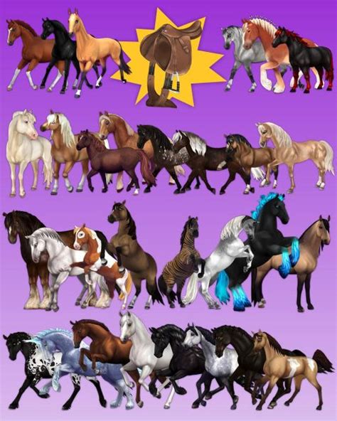 star stable horse breed quiz.